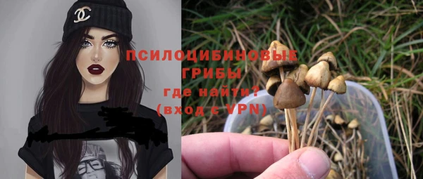 ECSTASY Заводоуковск
