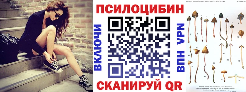Псилоцибиновые грибы Psilocybe  цены наркотик  Теберда 